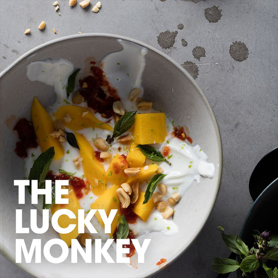  The lucky monkey